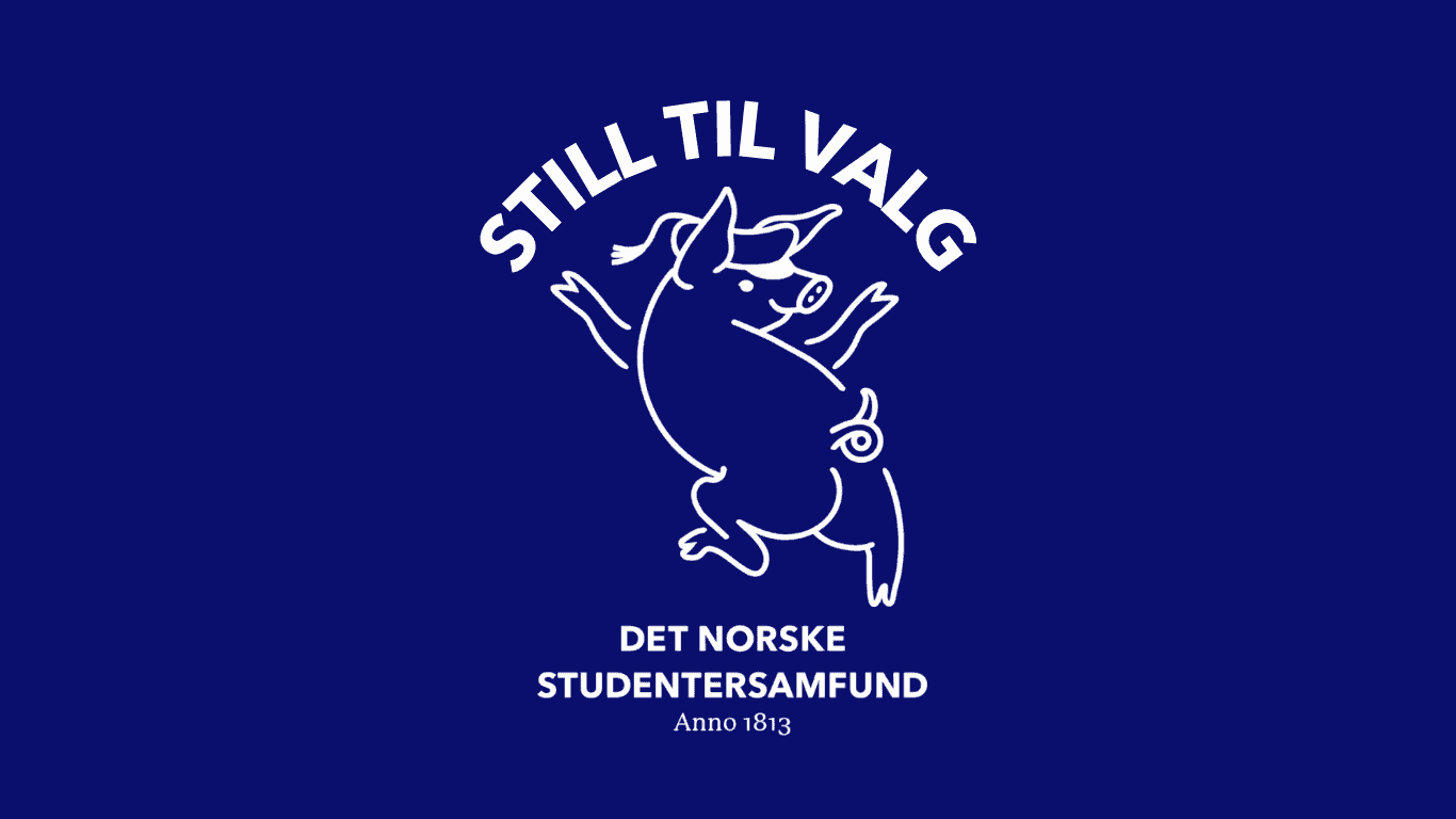 Bilde av studentgrisen