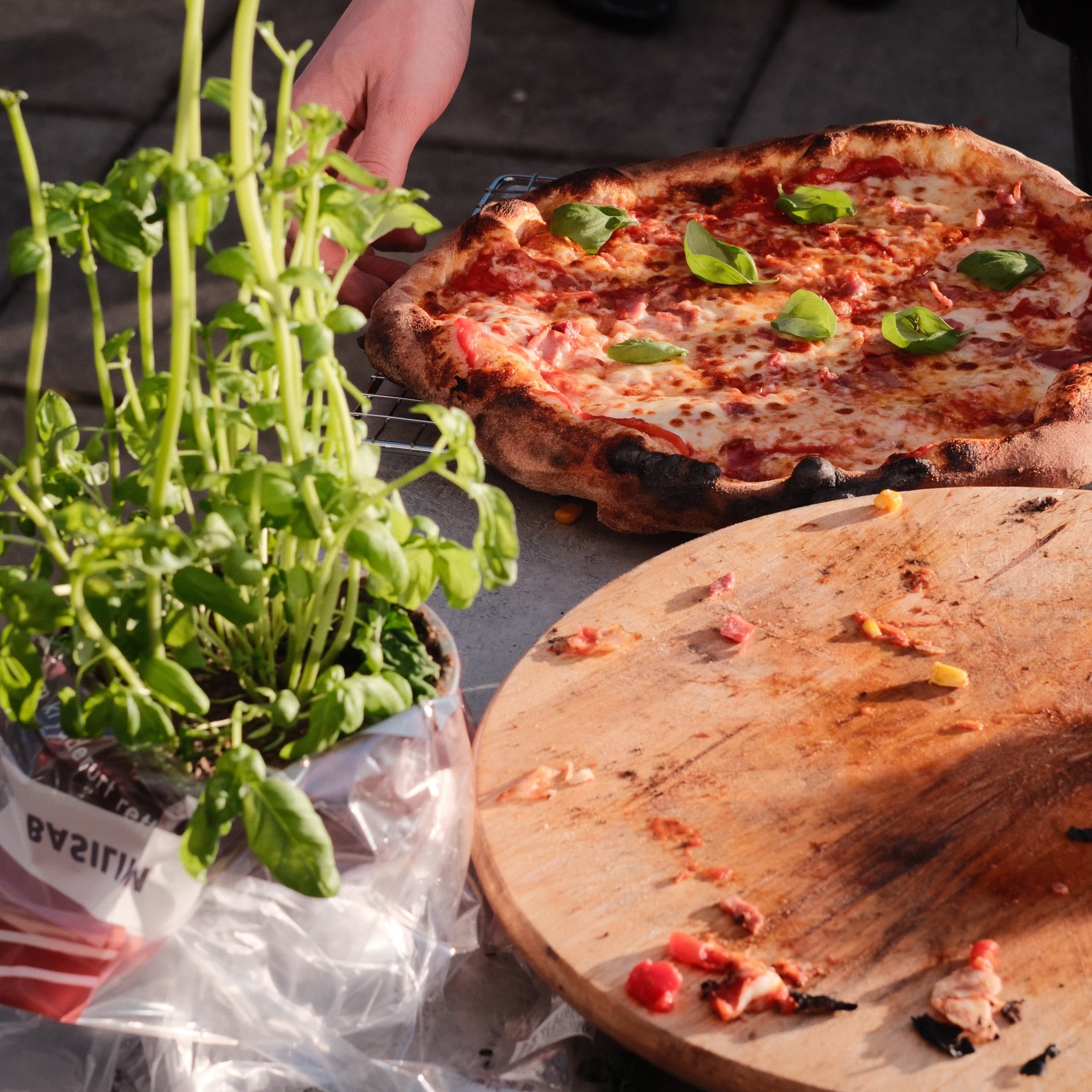 Pizza med basilikum og skinke
